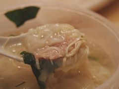 鲜肉馄饨-老温州馄饨担(东游大厦店)