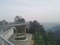 -缙云山景区