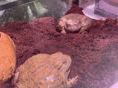 -正佳雨林生态植物园