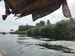 -白洋淀景区