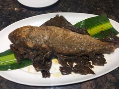 -三强鸽子(胜利路店)