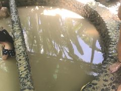 -100蛋泥浆浴