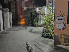 -猫岛主趣味餐厅(鼓浪屿店)