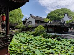 -上海醉白池公园