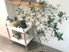-Onirii Coffee(长乐路店)