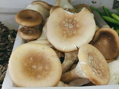-畲乡一品鱼府土菜馆