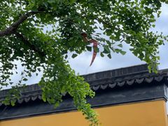 -木渎古镇