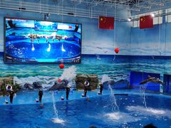 -多彩贵州城极地海洋世界