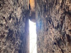 -五女峰国家森林公园