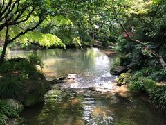 -中国茶叶博物馆(双峰馆区)