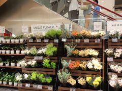 -优衣库(深圳万象天地旗舰店)