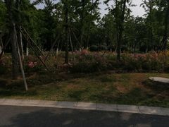 -贡湖湾湿地公园