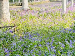 -白塘生态植物园