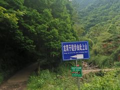 -龙窝子