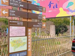 -新建村梅花