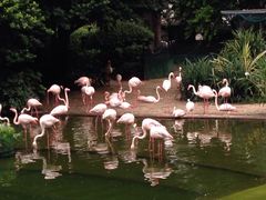 -九龙公园