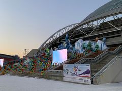 -沈阳奥体冰雪嘉年华