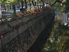 -西湖游船
