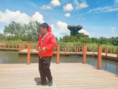 -芒洲湿地公园