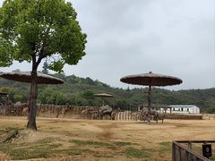 -杭州野生动物世界
