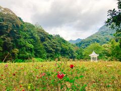 -广州市石门国家森林公园