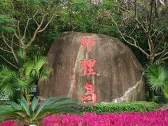 -野狸岛