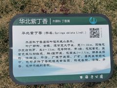 -西海子公园