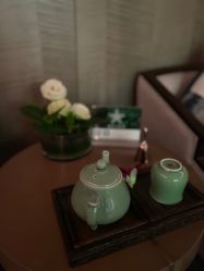 -VELEE·SPA高定疗愈会所