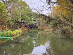 -张鸟园农家乐(张鸟园店)