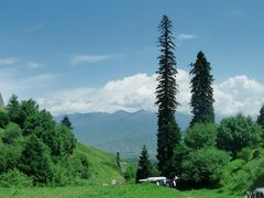 -新疆那拉提国家旅游度假区