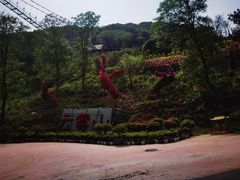 -木兰云雾山