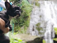 -藏龙百瀑风景区