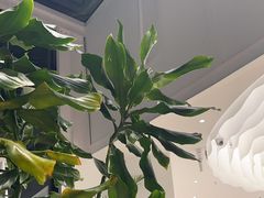 -大树餐厅(红旗街万达店)