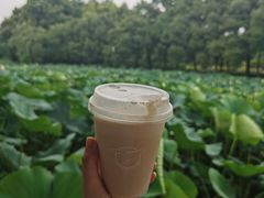 -Beans Solo豆号咖啡(百家湖花园店)
