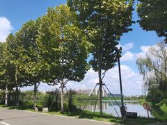 -洋湖国家湿地公园