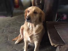 -浔岚云舍mist静谧观景美宿(丽江古城店)