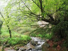 -秦岭终南山世界地质公园翠华山景区