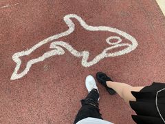 -厦门园林博览苑