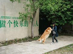 -南北湖风景区
