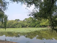 -北陵公园