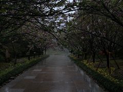 -南山植物园