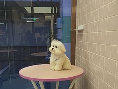 -FAELING PETS美天灵宠物(富力广场店)