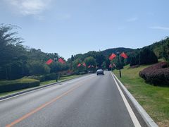 -棒棰岛宾馆景区
