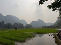 -靖西鹅泉风景区
