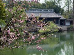 -水绘园