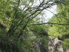 -秦岭终南山世界地质公园翠华山景区