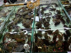 -南戴河海滨市场