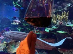 -迪拜帆船酒店海底餐厅