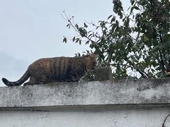 -水岸居湖景农家乐·阳澄湖大闸蟹