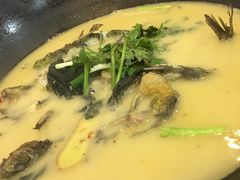 -岩泊渡桂鱼楼活鱼馆